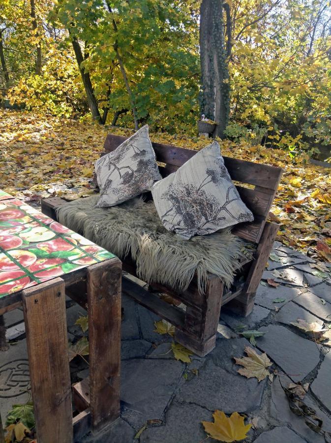 Hotel Окремий Будинок-Апартаменти Rakoshyno Exteriör bild