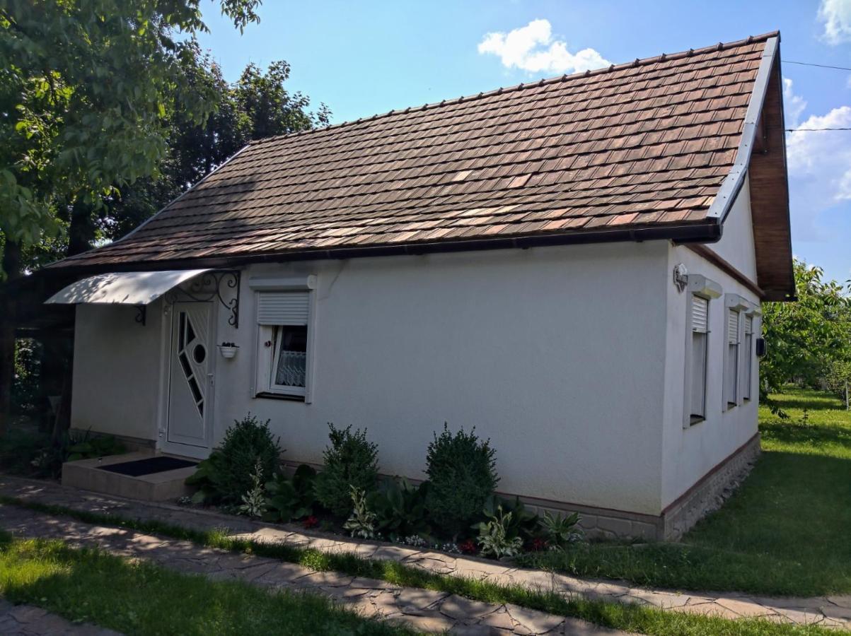Hotel Окремий Будинок-Апартаменти Rakoshyno Exteriör bild